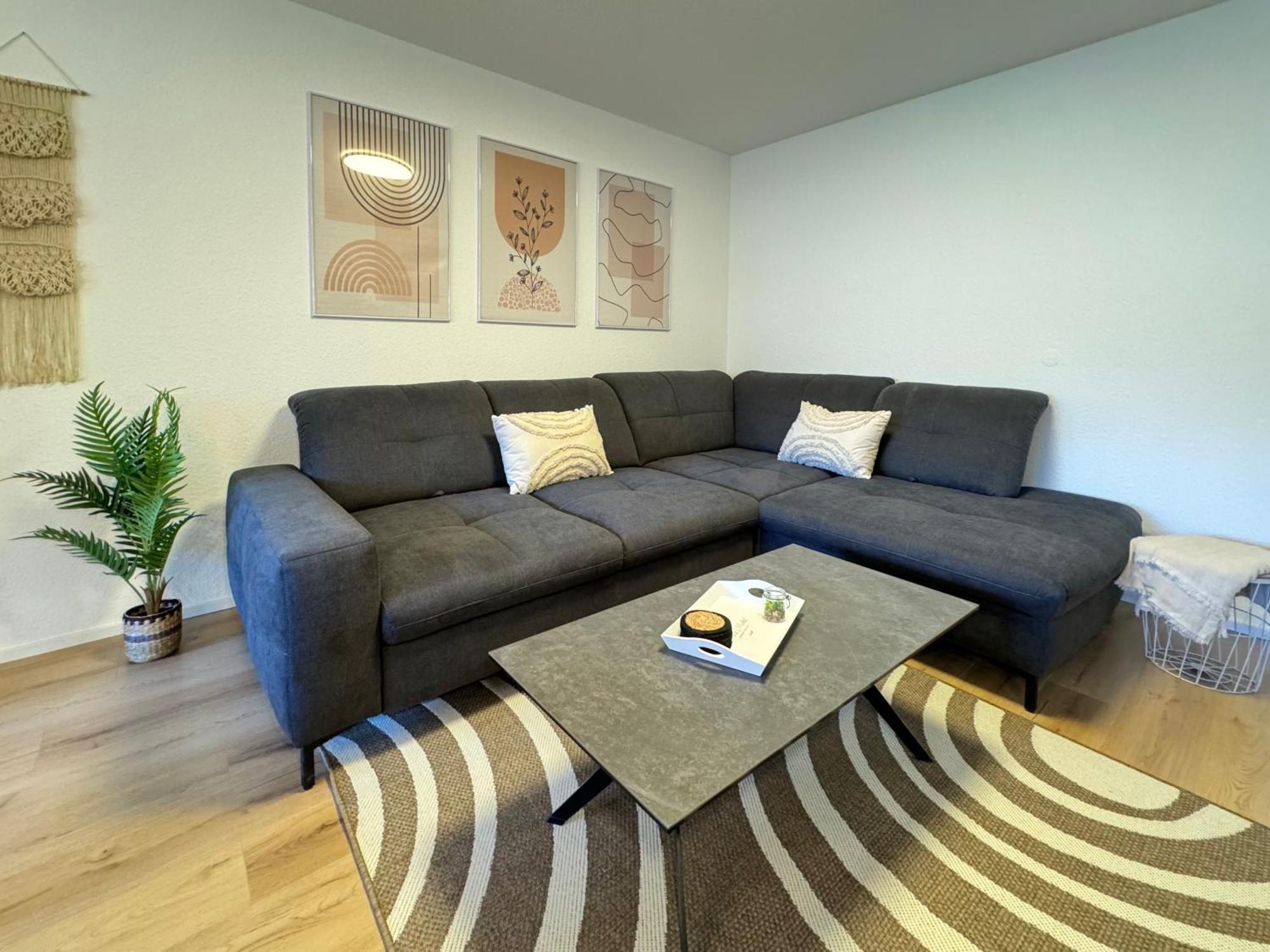 3 Zimmer Apartment, 90 Qm, Ruhig Und Zentrumsnah, Max 6 Pers, 15 Qm Balkon , Private Garage, Internet 1000 Mbit Зиндельфинген Экстерьер фото